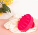 Scalp Brush_
